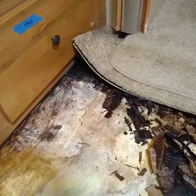 Wood Floor Water Damage in Edwards County, KS